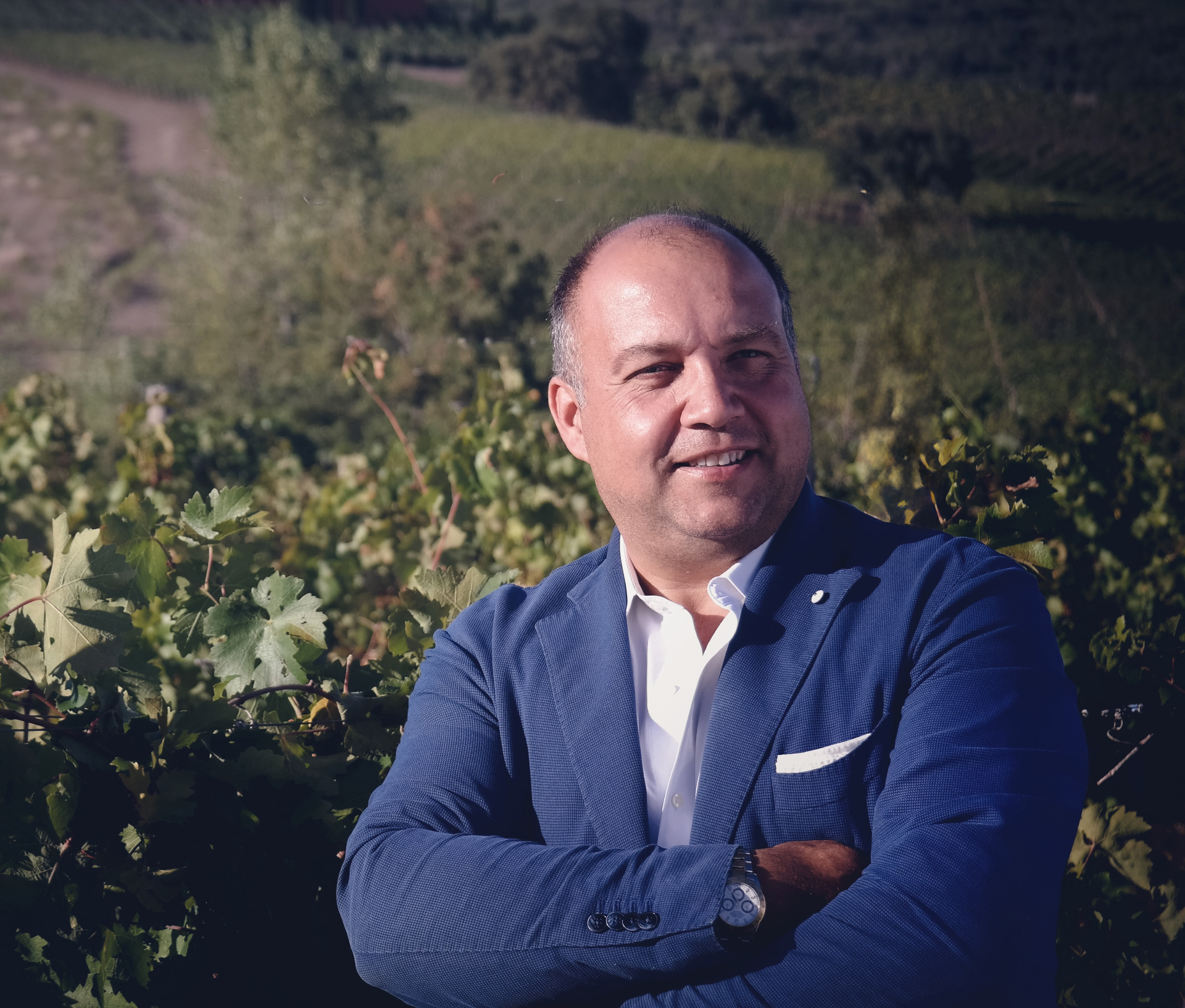 Alessandro Cellai, enologo di Cantina Lilliu, ritratto tra le vigne