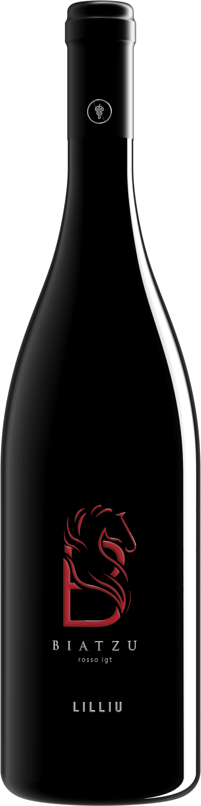 Bottiglia Biatzu