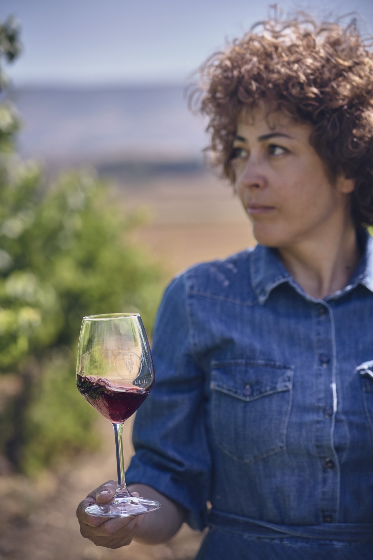 Calice in vigna